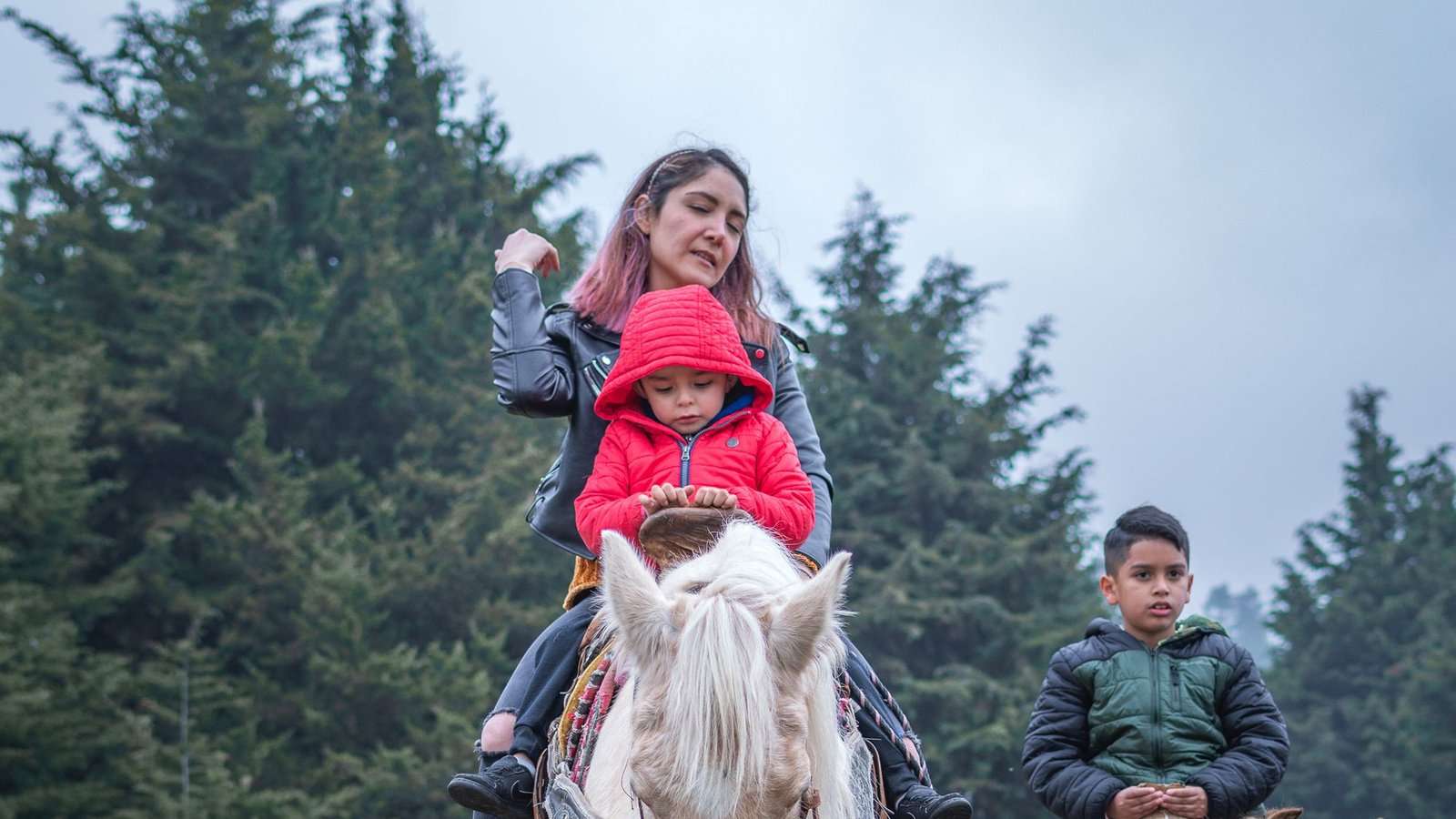 Familia paseando a caballo por un campo verde